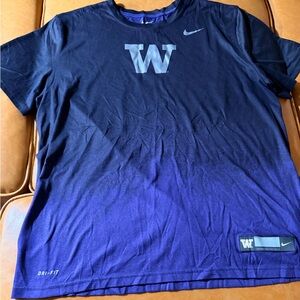 Nike Dri-FIT Performance Washington Tee in Purple with Silver Logo